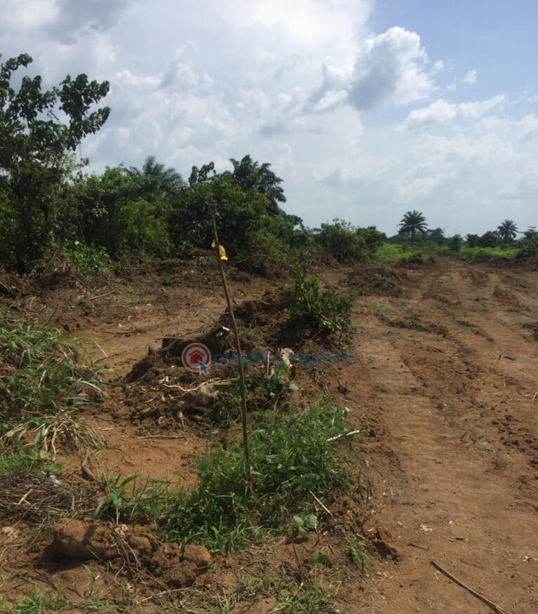 SAFARI GARDENS FREE TRADE ZONE LEKKI N20,000 DOWN PAYMENT